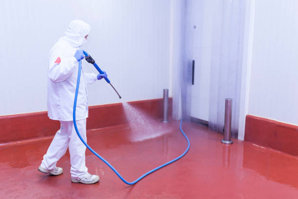 Pre-Holiday Cleaning in Mentor, OH